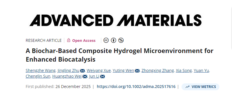 绿色催化治污新突破|新国大苏研院李俊团队在《Advanced Materials》发表最新科研成果